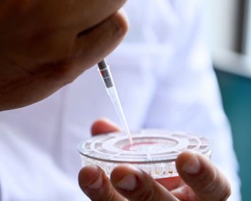A laboratory technician checks blood samples.