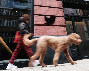 A pedestrian walks a dog past the entrance to an office building in Manhattan.