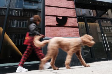 A pedestrian walks a dog past the entrance to an office building in Manhattan.