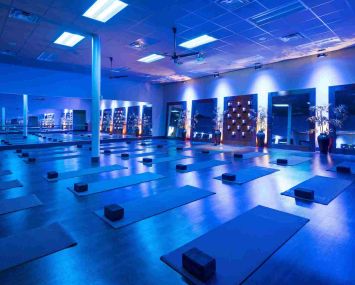 Brick Bodies Padonia.