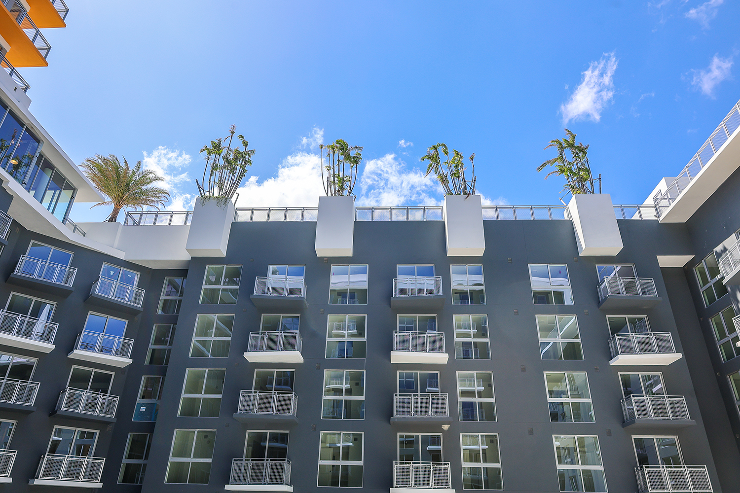 Miami’s New Julia Apartments Aim at Young Professionals in Emerging