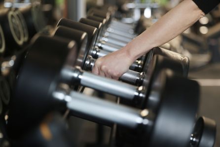 Dumbbells on the rack at a gym.