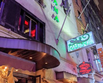 A giant iguana sculpture attached to the outside of a building in Manhattan.
