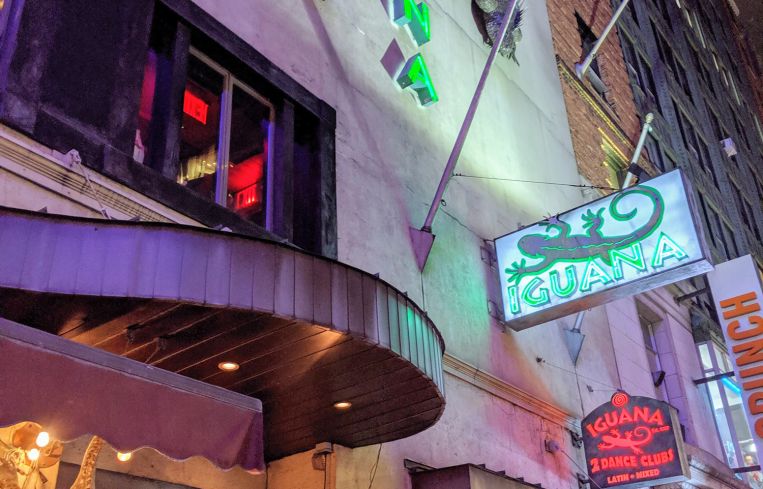 A giant iguana sculpture attached to the outside of a building in Manhattan.