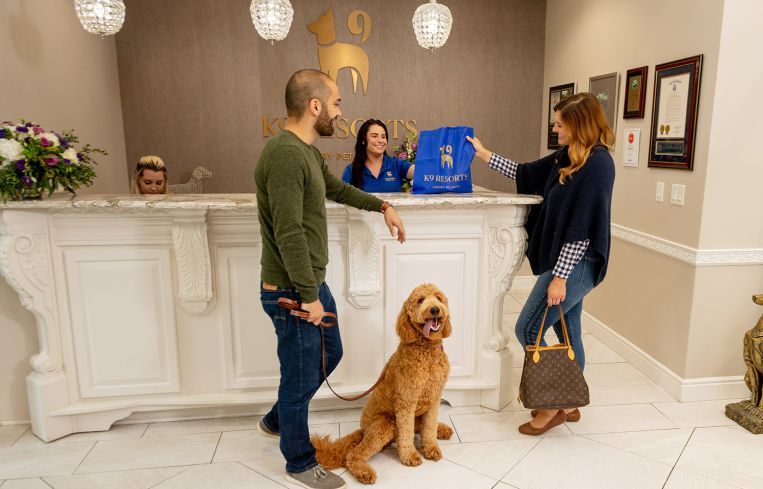 K9 Resorts Luxury Pet Hotel front desk