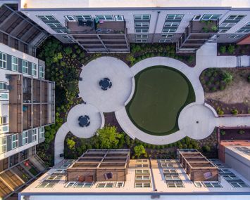 Viridium top-down