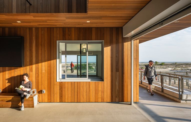 The Welcome Center's fritted glass windows are friendly to shorebirds.