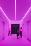 Three people stand next to a bank of elevators cast in a pink glow.
