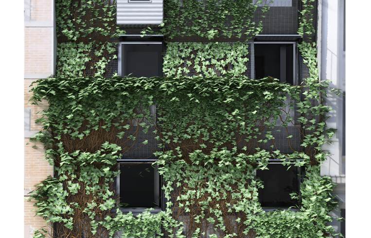 A narrow four-story building covered in ivy and other plants.