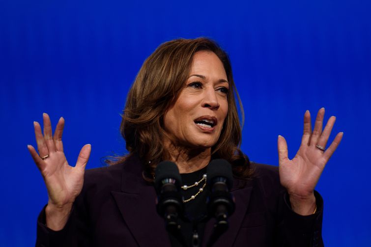 Vice President Kamala Harris Speaks In Houston