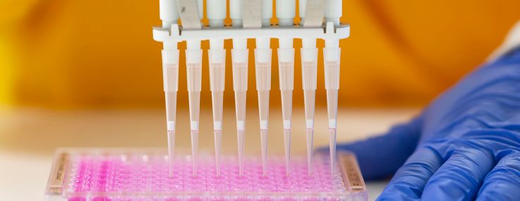 A multichannel pipette device portions out fluid for medical and pharmaceutical research and testing.