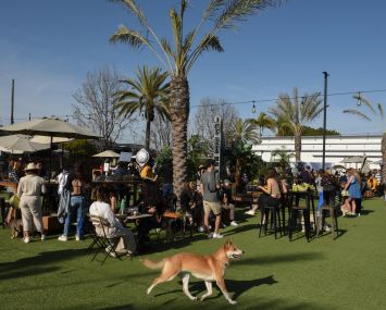 DOG PPL's Santa Monica, Calif., location.