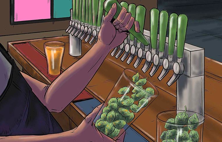 Illustration of a hand pulling a beer tap, and marijuana comes out instead of beer.