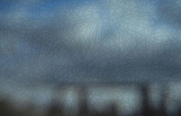 A close up of glass designed to prevent birds from flying into it.