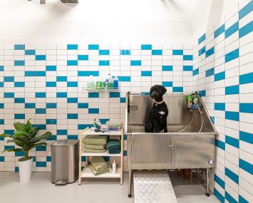 A dog in a sink in a beautifully tiled room.