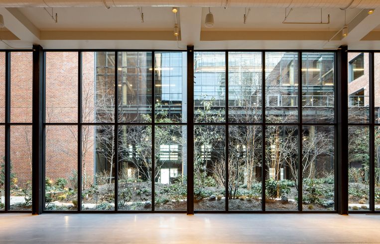 Windows looking out to an outdoor space with trees.