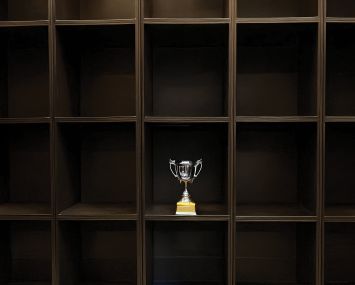 A set of shelves, and one is filled with a trophy, and the others are empty.
