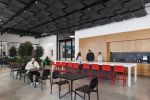 The new offices for the historic Studio Museum include a small green space in the cafeteria.