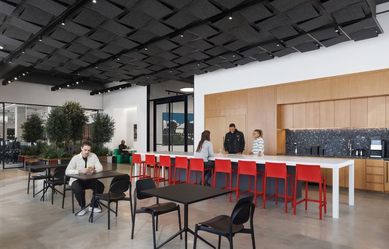 The new offices for the historic Studio Museum include a small green space in the cafeteria.