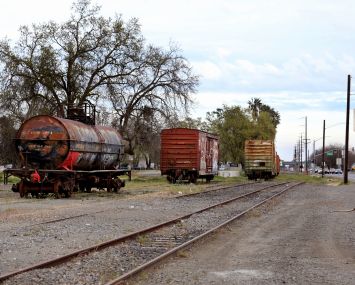 A vacant lot except for three old train cars.