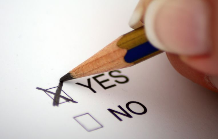 A pencil marking a "yes" vote.