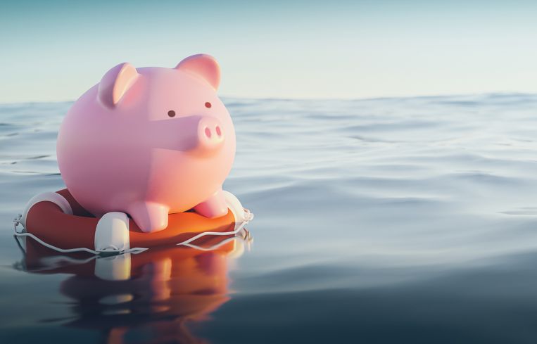 Piggy Bank On Lifebuoy.