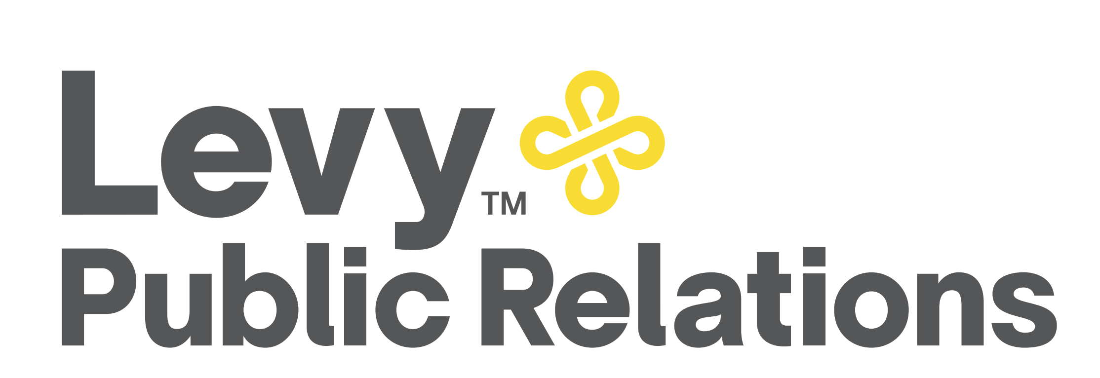 Levy PR Logo West Palm Beach Executive Leadership Reception