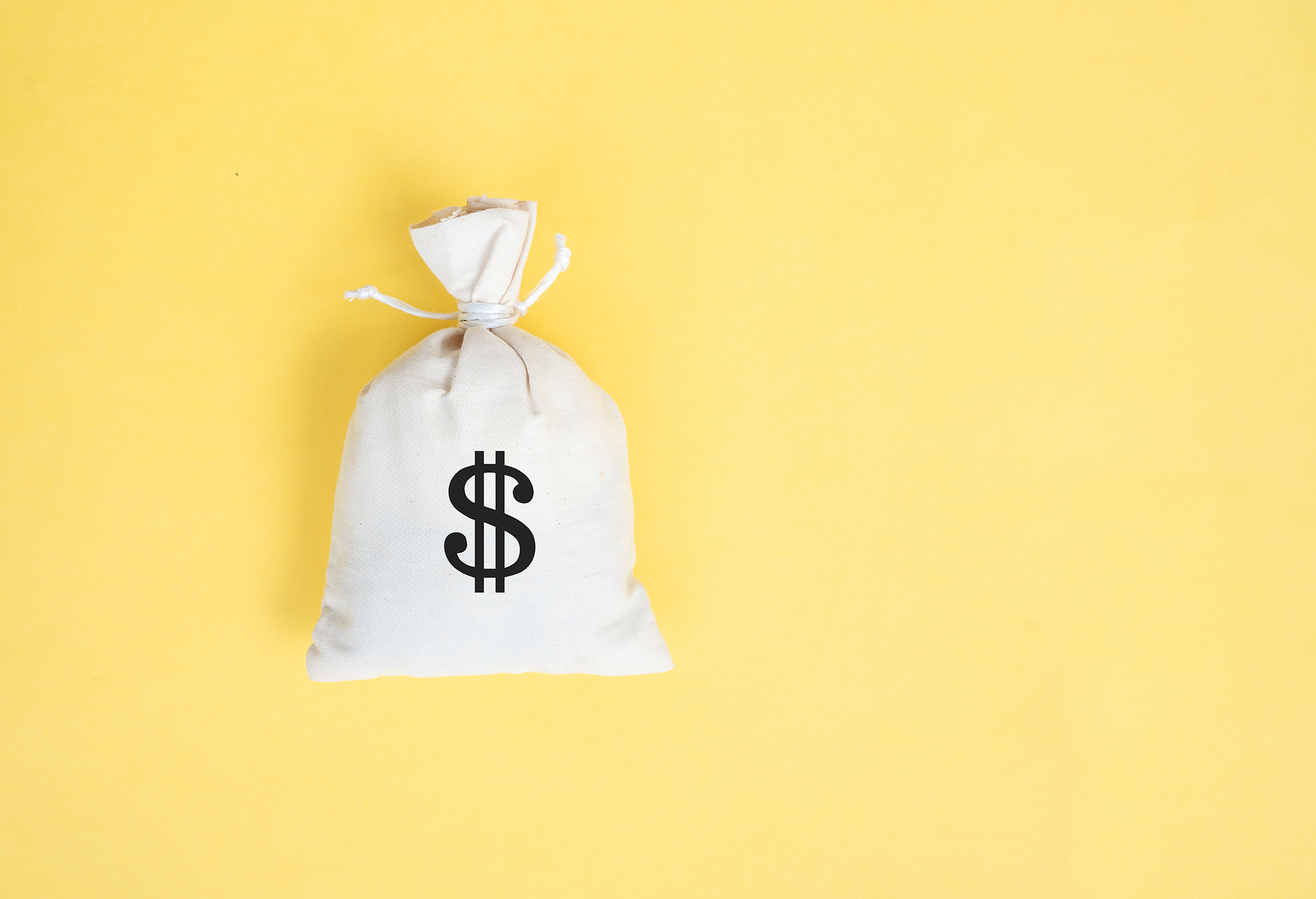 Money bag on yellow background.