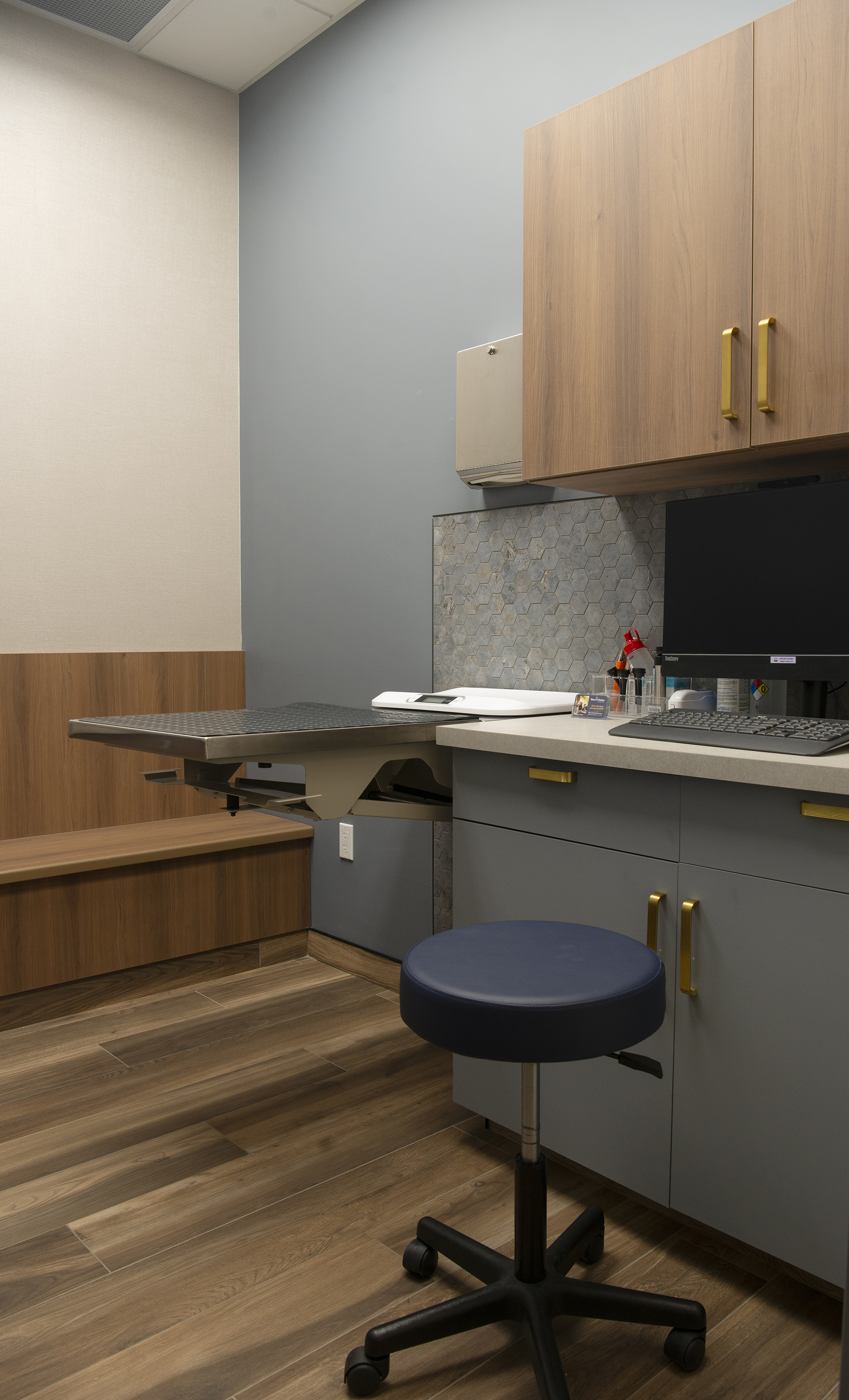 The animal care facility offers patients and their humans exam rooms that are not cold and clinical