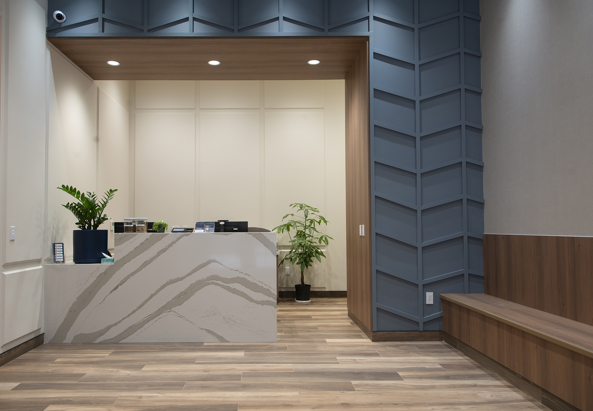 The Heart of Chelsea Vet Clinic in Greenpoint offers a sense of calm.