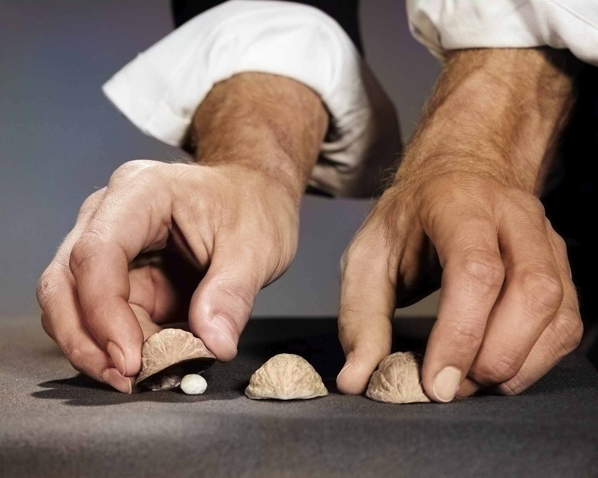 Man's Hands With Shirt Sleeves Rolled Up Performing Playing Shell Game.