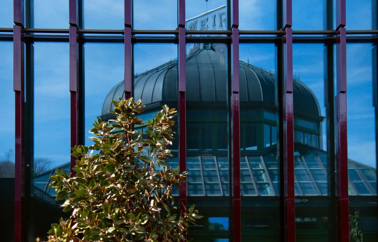 ARO created a low-volume building that surrounds the greenhouse, highlighting its corner location and access to the cemetery across the street.