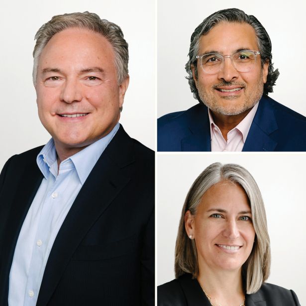 Amy Price, Sonny Kalsi and John Carrafiell