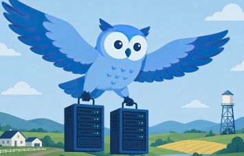 An illustration of a blue owl flying and carrying a pair of servers from a data center.