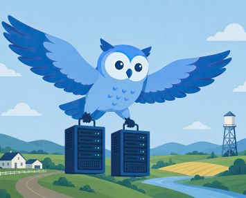 An illustration of a blue owl flying and carrying a pair of servers from a data center.