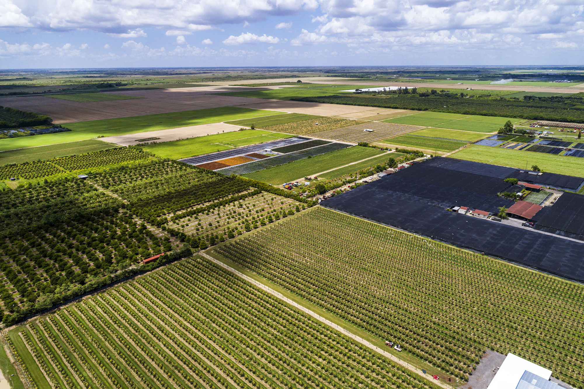 Farmland in Florida.