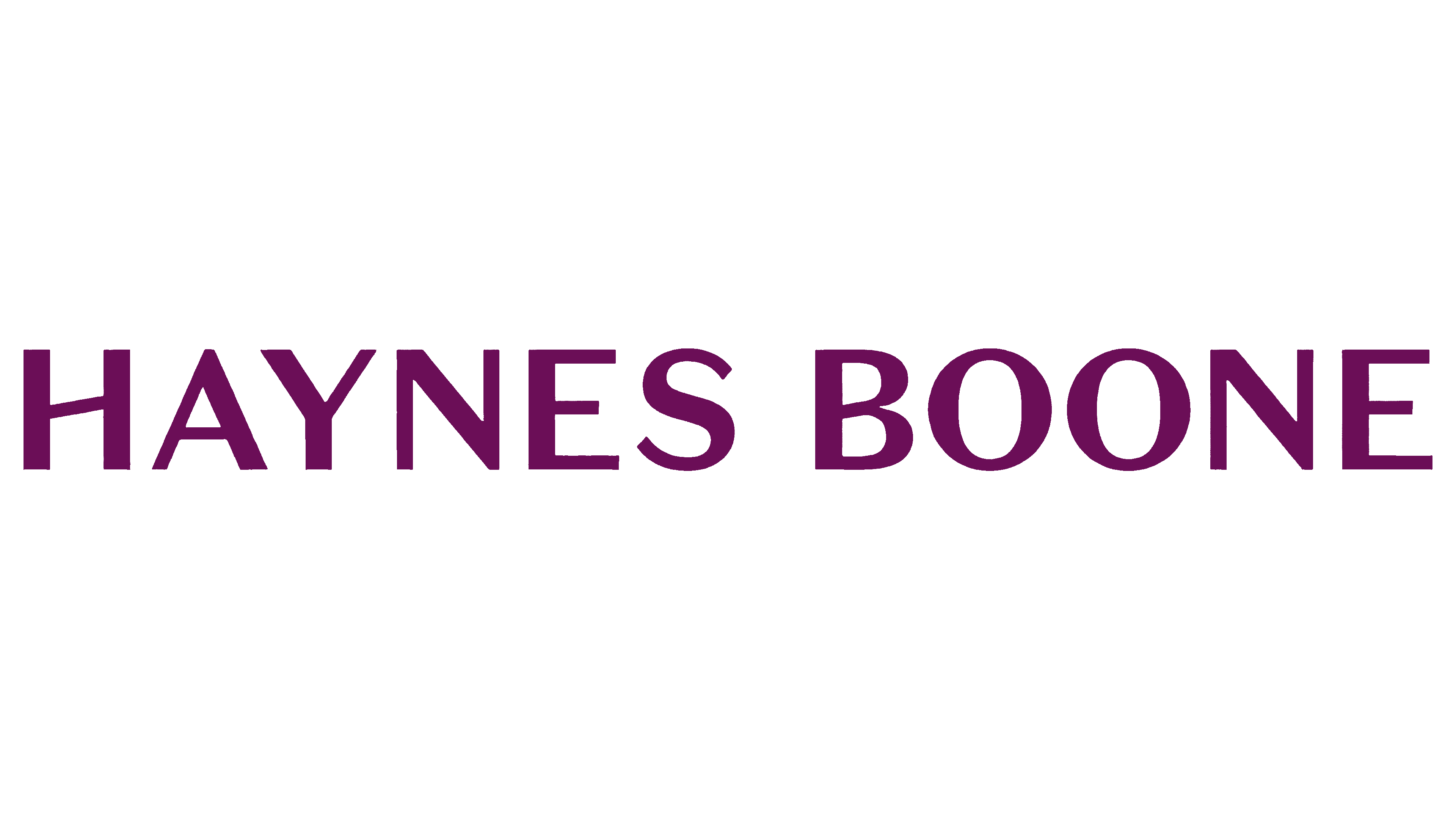 Haynes Boone Logo 2026 Data Centers Development & Infrastructure Forum