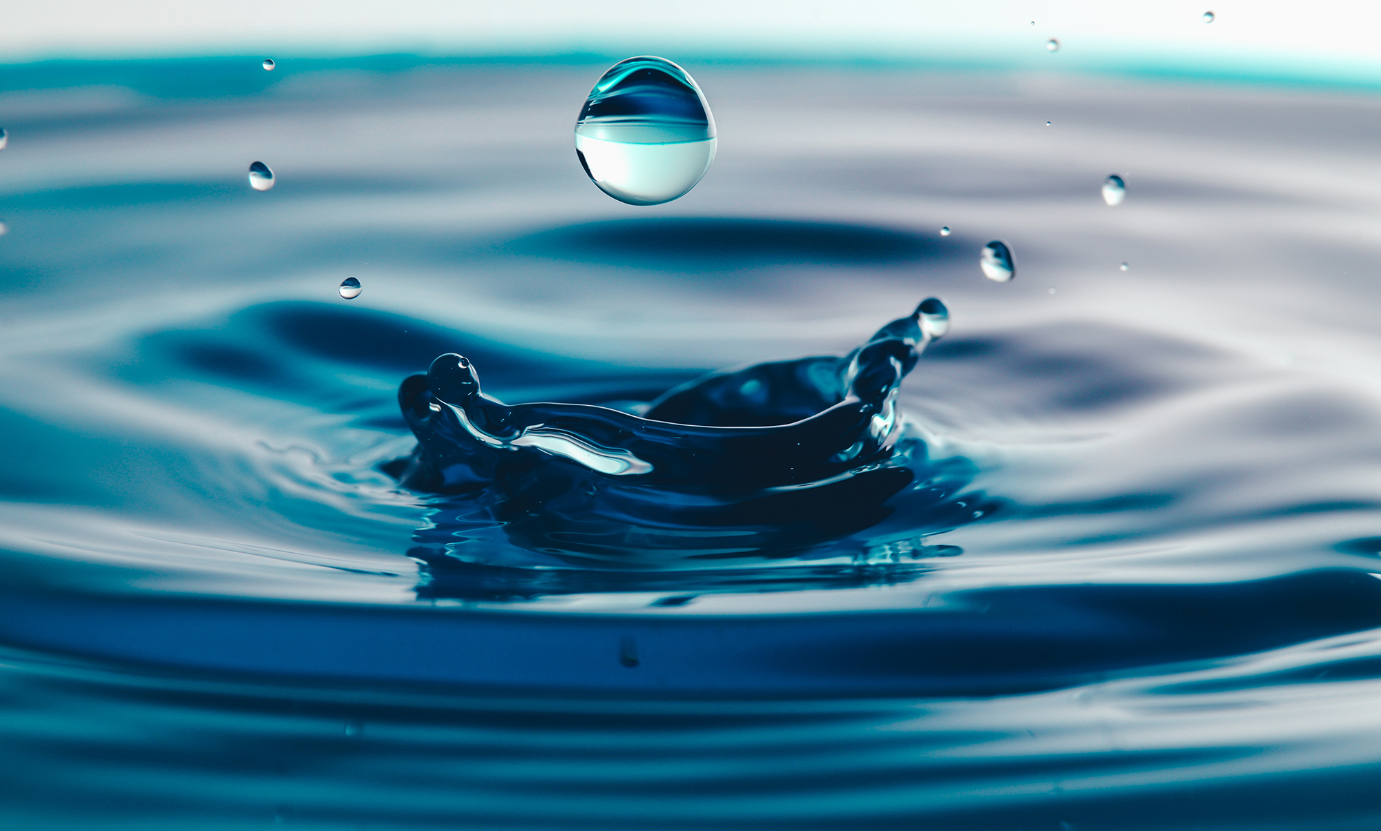 Dark blue water droplets splashed closely on the water surface. It creates a water wave and a perfect crown.