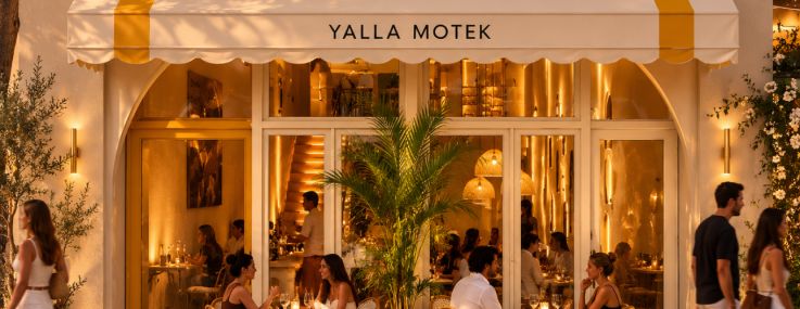 A rendering of Yalla Motek.