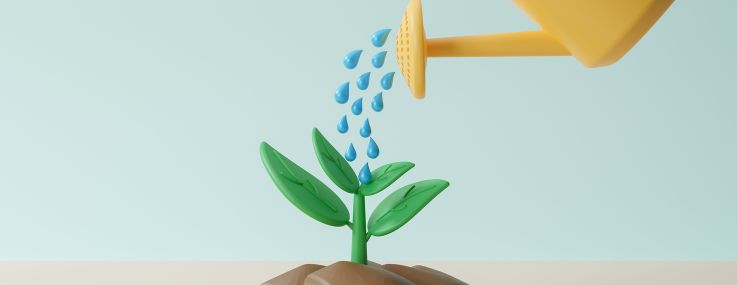 An illustration of a small plant being watered.